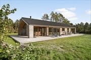 Stort kvalitetssommerhus fra 2022 på stor naturgrund