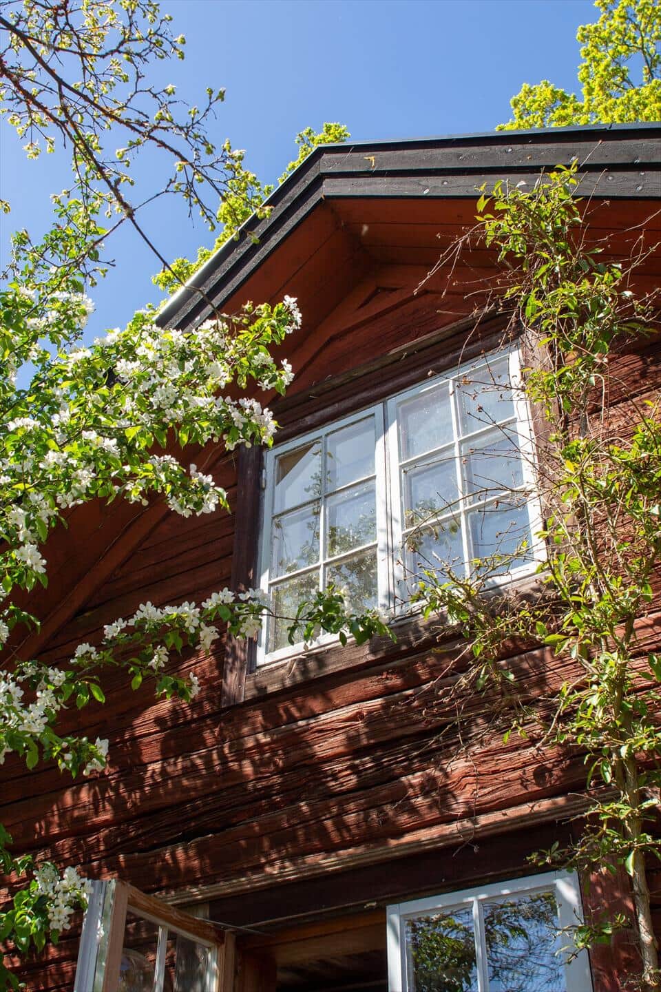 Afbeelding 3-171 Vakantiehuis KAL687, Stora Bråbo 1, DK - 57091 Kristdala
