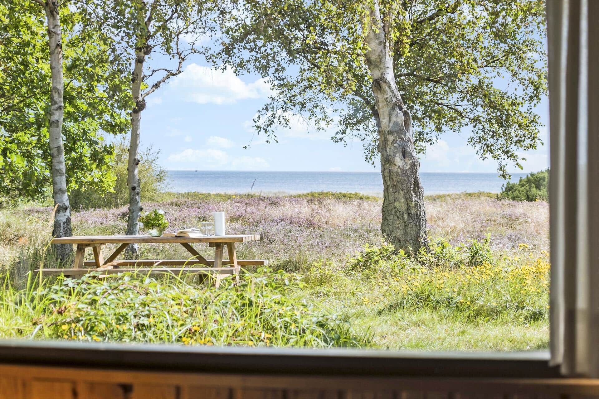 Livingroom 1 Image 0-170 Holiday-home 20119, Maarup Skov 26, DK - 8305 Samsø