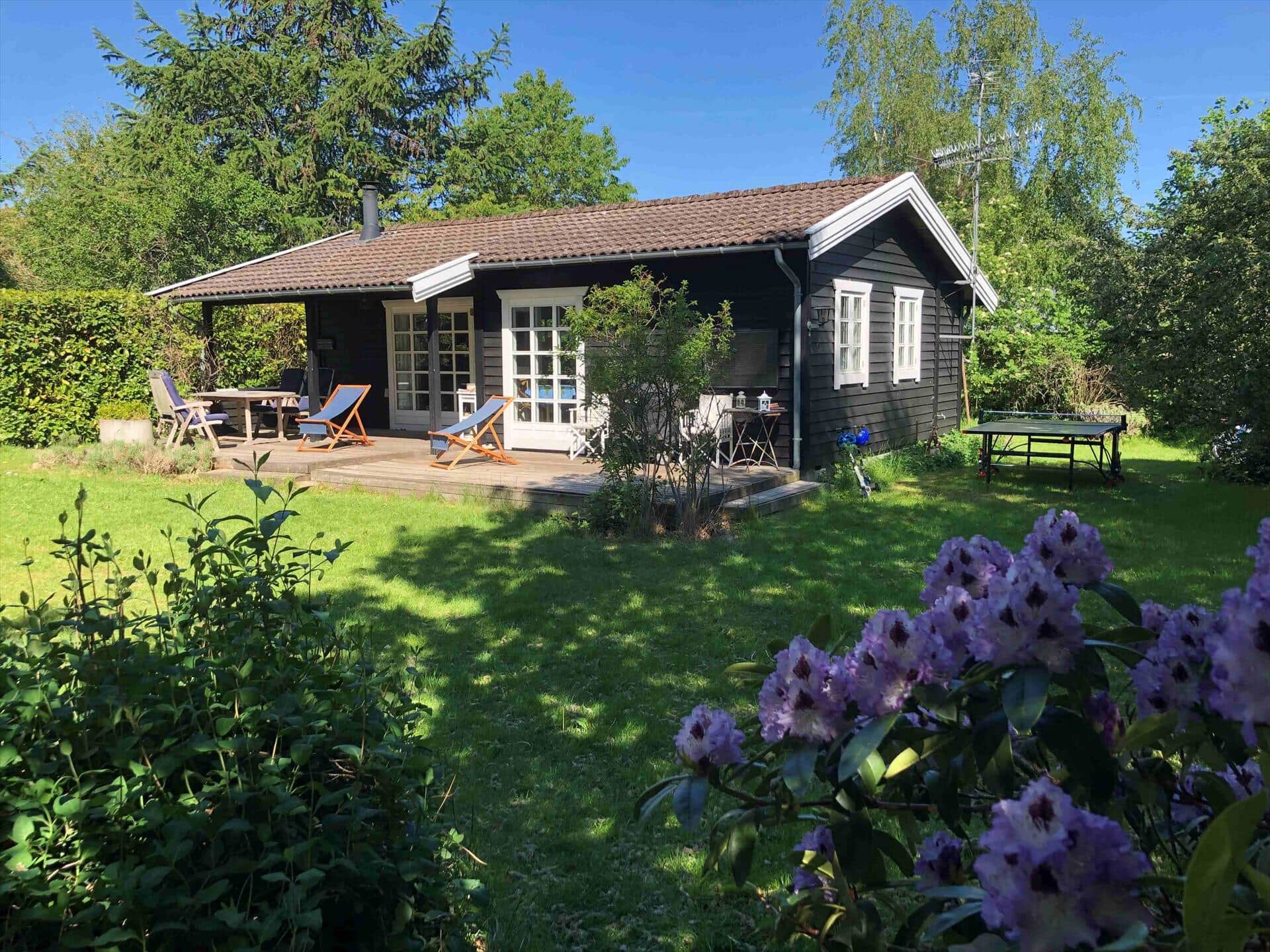 Afbeelding 0-1336 Vakantiehuis 1591, Fasanvej 11, DK - 3120 Dronningmølle