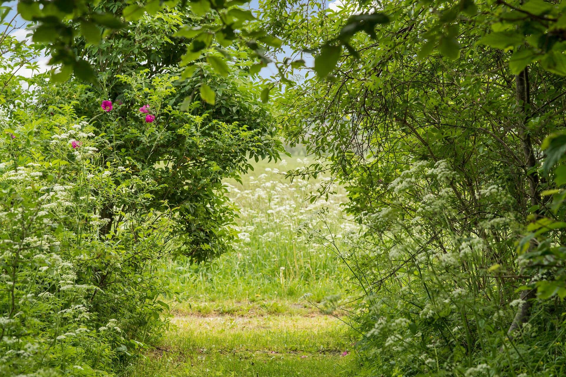 Afbeelding 26-178 Vakantiehuis LN1373, Øresundvej 9, DK - 9800 Hjørring