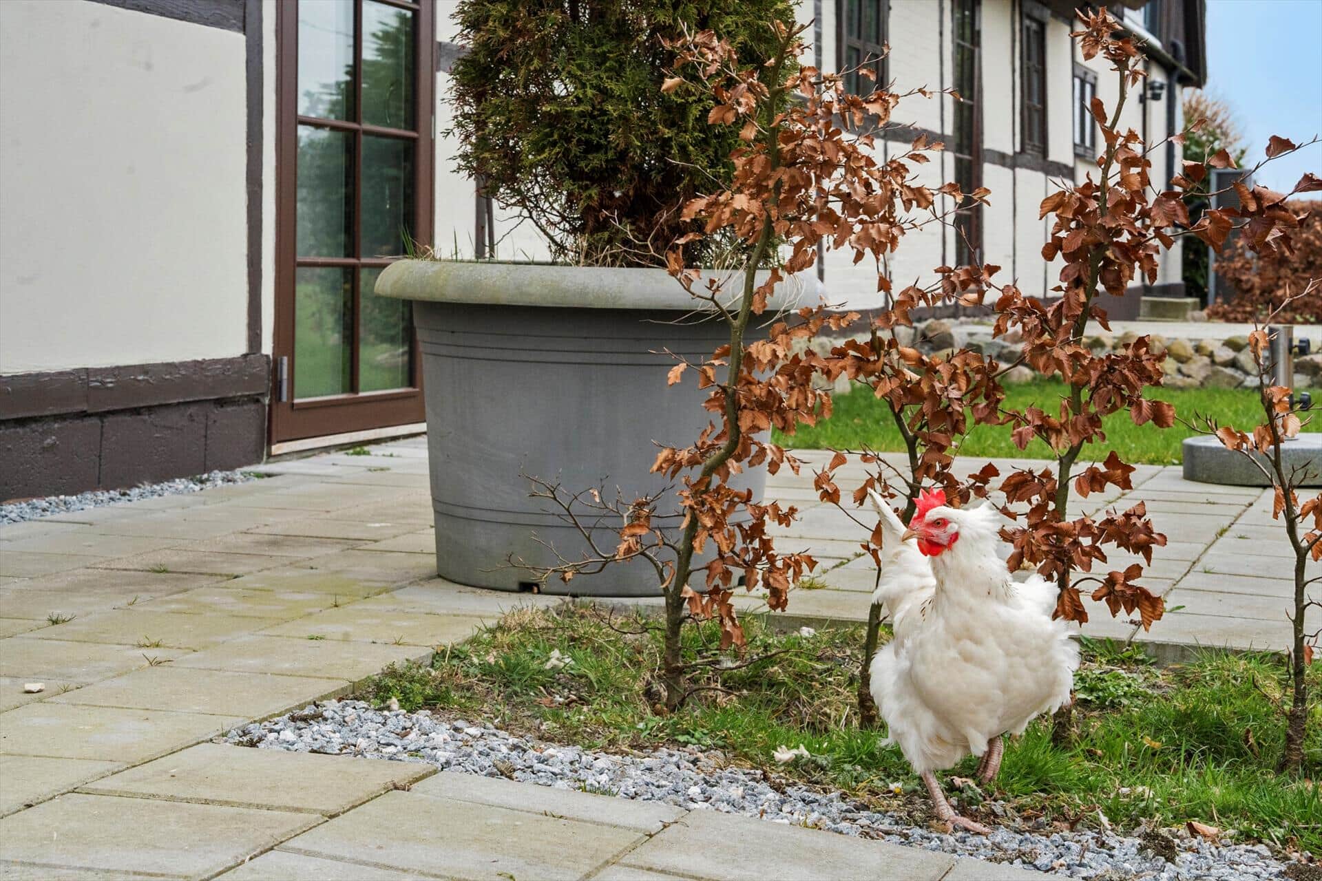 Afbeelding 1-174 Vakantiehuis M367, Marrebæk Skovvej 4, DK - 4873 Væggerløse